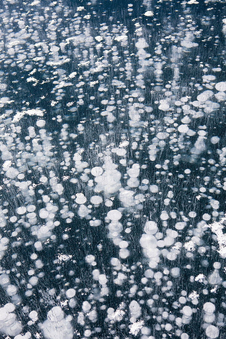 'Close Up Of The Pattern Of Frozen Water Bubbles In A Frozen Mountain Lake; Alberta, Canada'