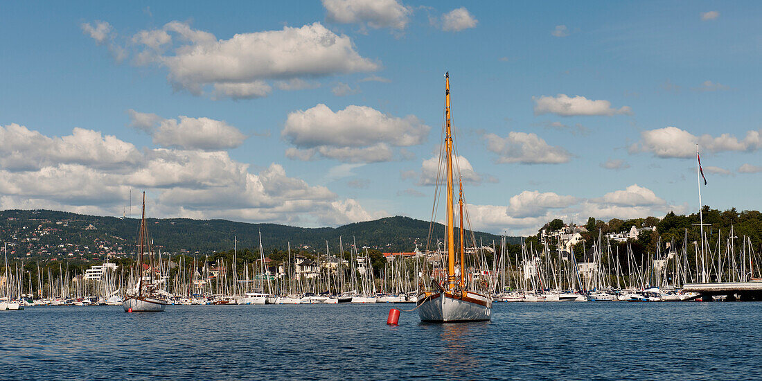 'Sailboats In The Harbour; Oslo, Norway'