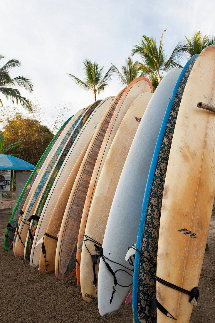 'Surfboards Standing Up Against A Rack On The Beach; Sayulita, Mexico'