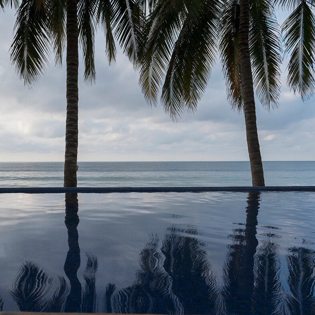 'Palm Trees Reflected In The Water; Sayulita, Mexico'