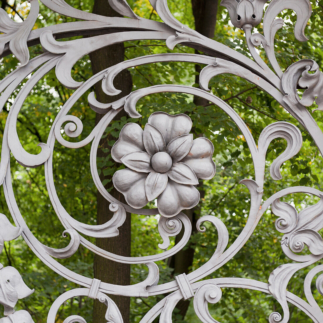 'Flower And Swirl Design On A Metal Gate Of The Cathedral Of The Resurrection Of Christ; St. Petersburg, Russia'