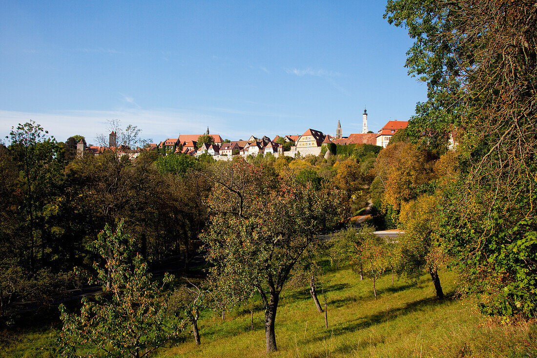 'Trees In A Forest Area With Buildings Of The Old Town In The Background; Rothenburg Ob Der Tauber, Bavaria, Germany'