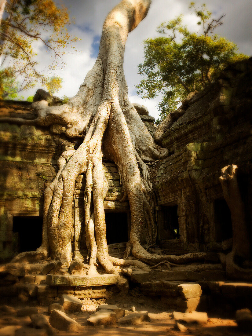 'Angkor Wat; Cambodia'