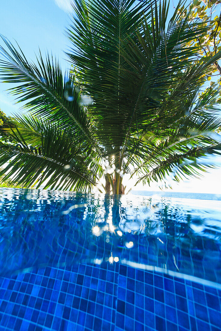 'Upward underwater view from swimming pool arue resort near papeete;Tahiti nui south pacific'