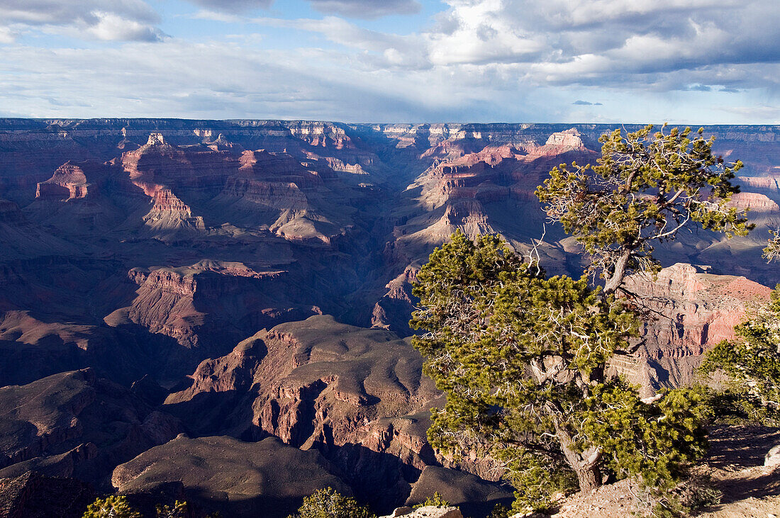 'Grand canyon;Arizona united states of america'