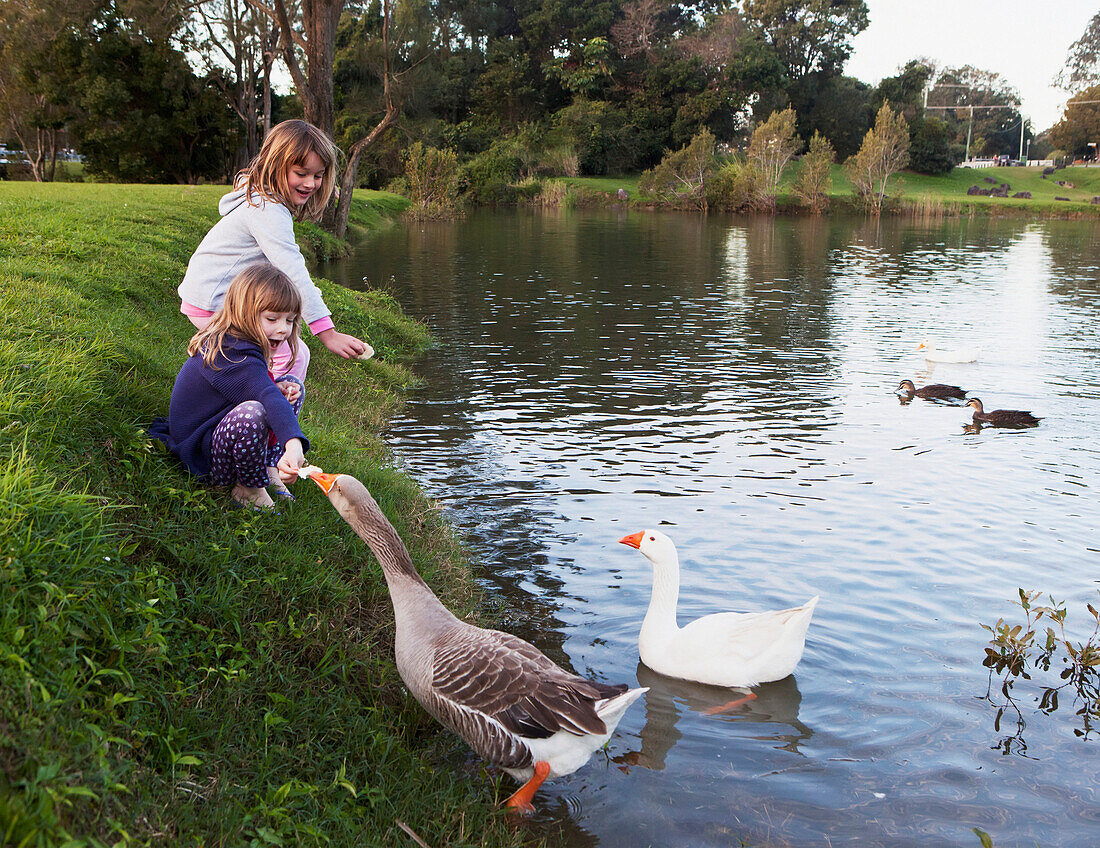'Two Young Girls Feed Birds At The Water's Edge; Currumbin Valley Gold Coast Queensland Australia'
