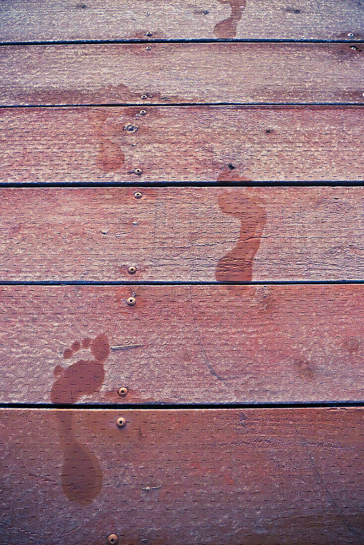 Footprints On A Frost Covered Dock On Lake Whatcom During Winter, Bellingham, Washington, Usa