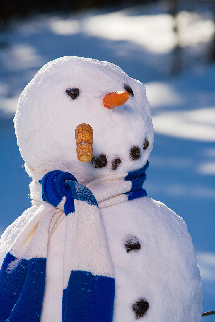 Snowman In The Woods In Afternoon Light After Making Snow Angel Interior Alaska Winter