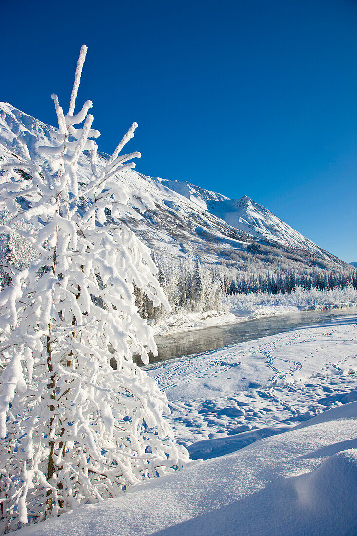 Snow Covered Landscape Along The East Fork Of The Six Mile Creek On The Kenai Peninsula In The Chugach National Forest. Kenai Mountains In The Background, Winter, Southcentral Alaska
