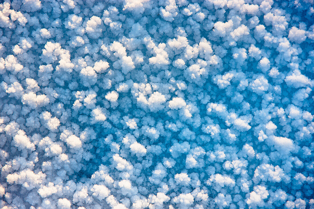 Close Up Of Hoar Frost On The Ground Along The Tony Knowles Coastal Trail, Anchorage, Southcentral Alaska, Winter