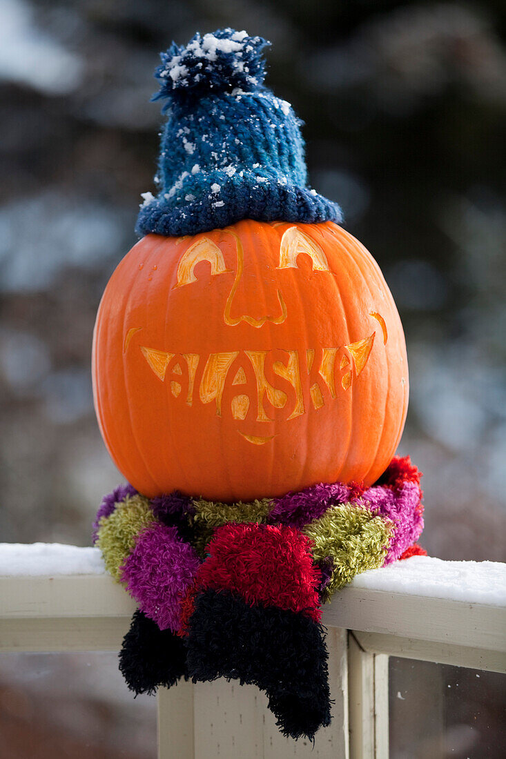 Close Up Of A Carved Pumpkin With The Word Alaska Carved As Teeth And Sitting On Deck Railing And Wearing A Knit Stocking Cap And Scarf, Kodiak, Southwest Alaska, Autumn