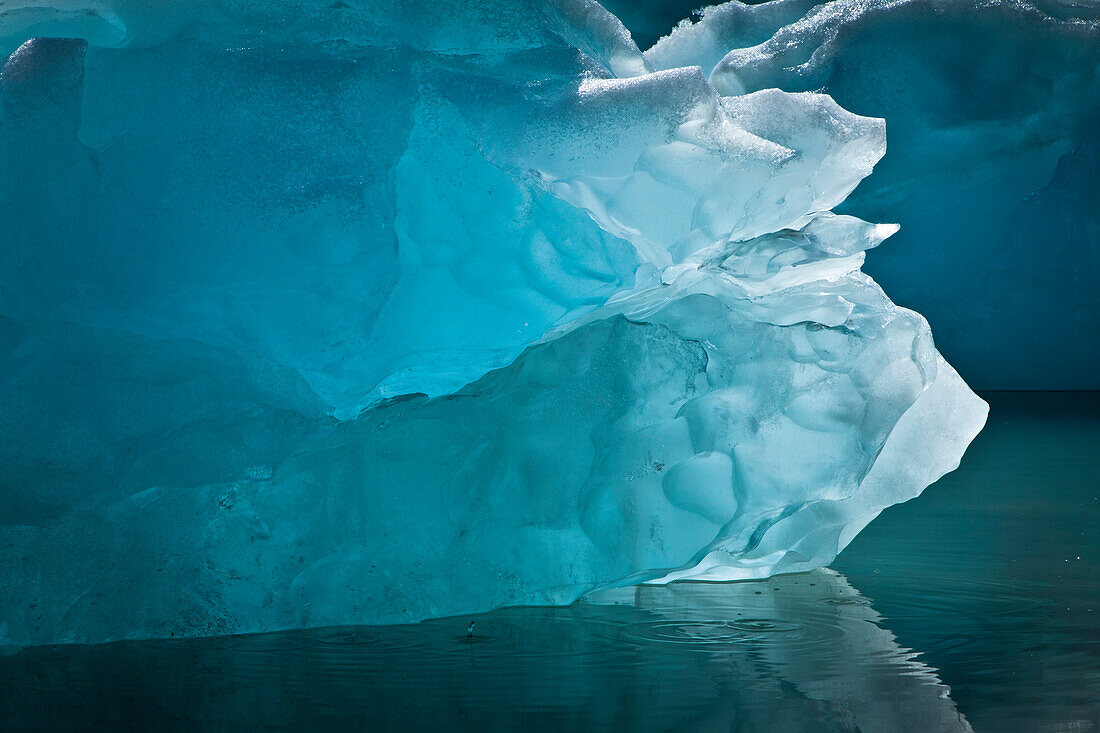 Icebergs From Mcbride Glacier, Muir Inlet, Glacier Bay National Park & Preserve, Southeast Alaska, Summer