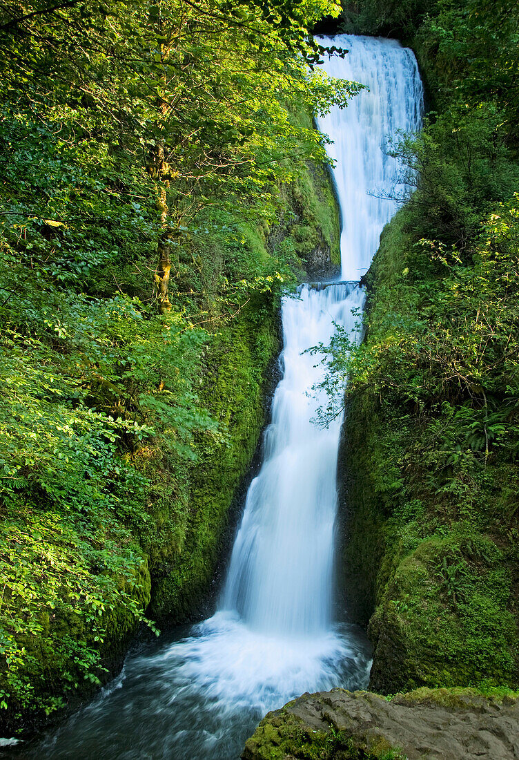 'Waterfall;Oregon united states of america'