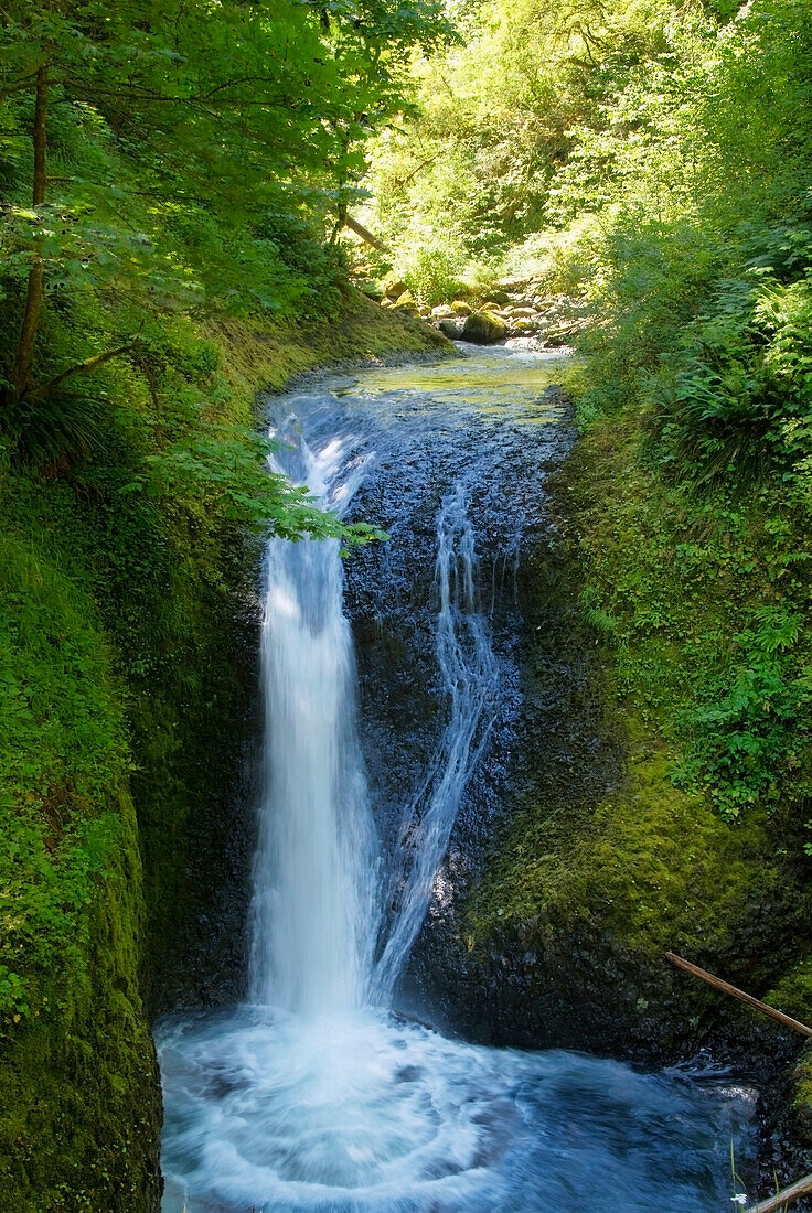 'Waterfall;Oregon united states of america'
