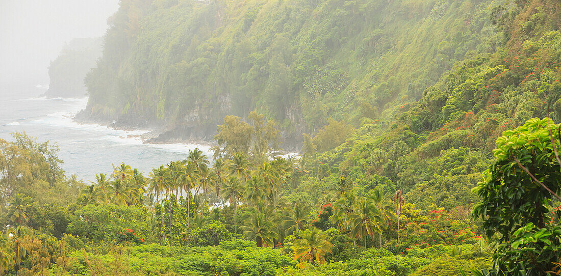 'Hakalau area hamakua coast;Big island hawaii united states of america'