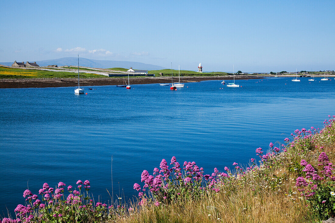 'Boats In Harbour; Rosses Point, County Sligo, Ireland'