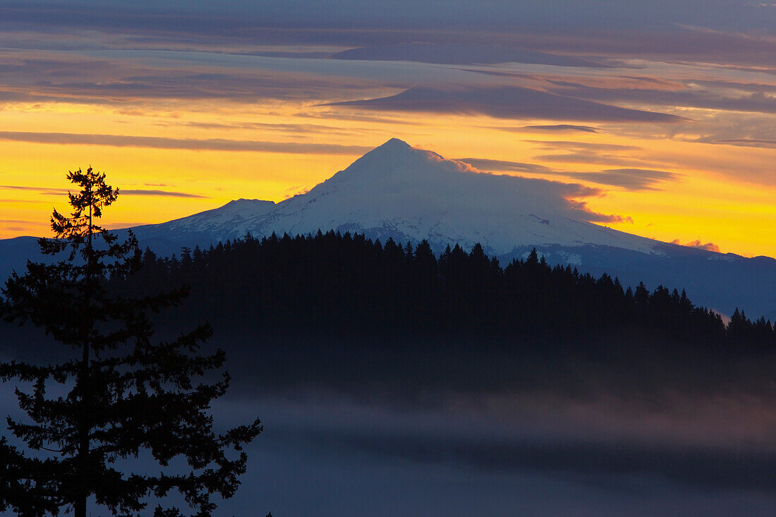 'Sunrise And Fog Over Mount Hood; Oregon, Usa'