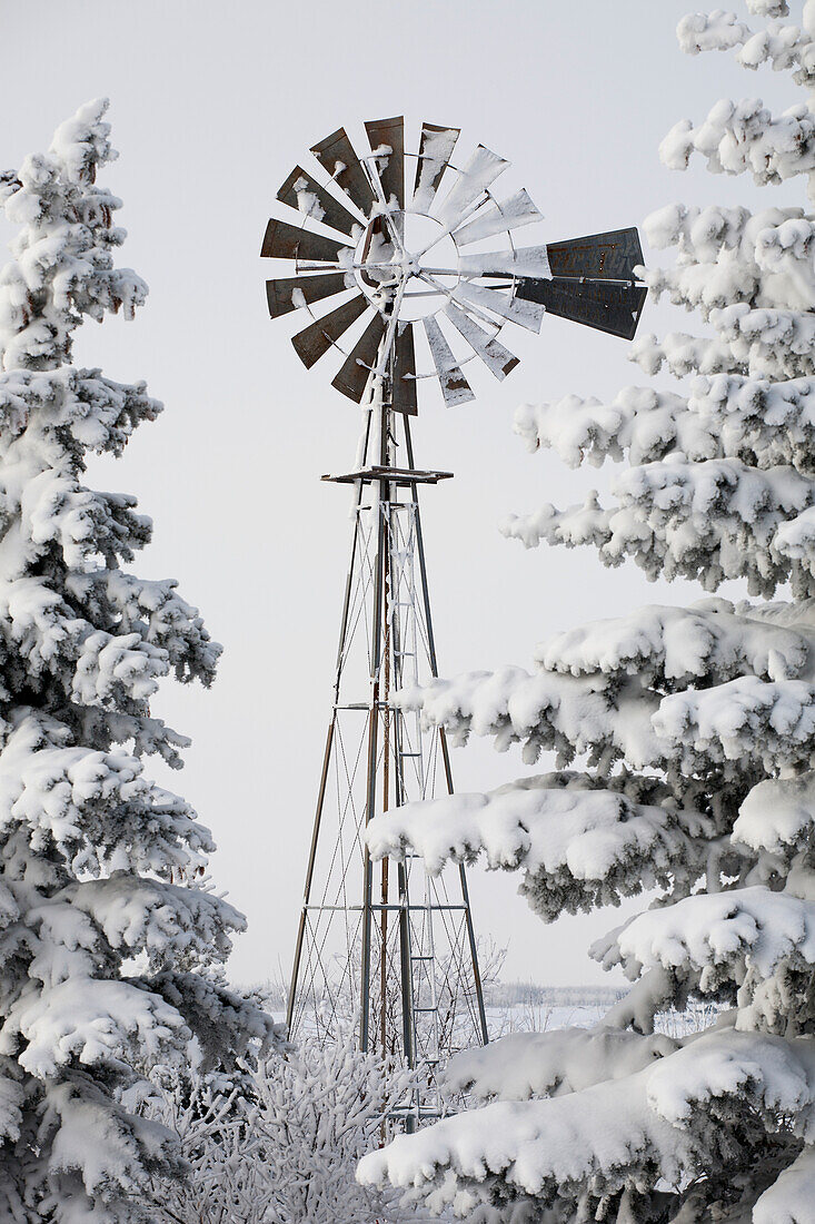 'Old Windmill And Trees Covered With Snow And Frost; Calgary, Alberta, Canada'