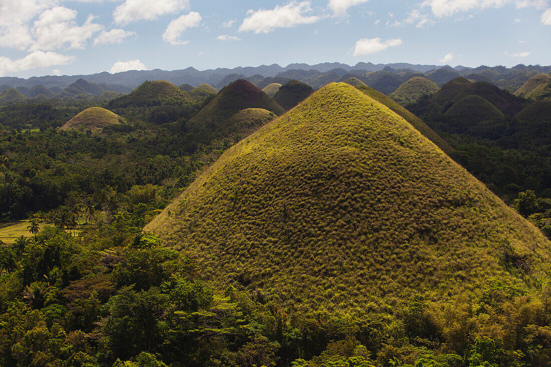'The Tourist Destination Of The Chocolate Hills; Island Of Bohol, Philippines'