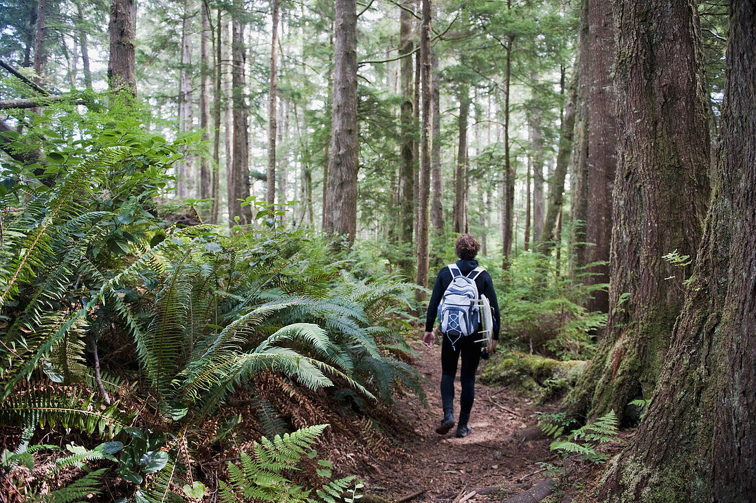 'A Young Man Hikes Through The Forest; Slip Point Washington United States Of America'