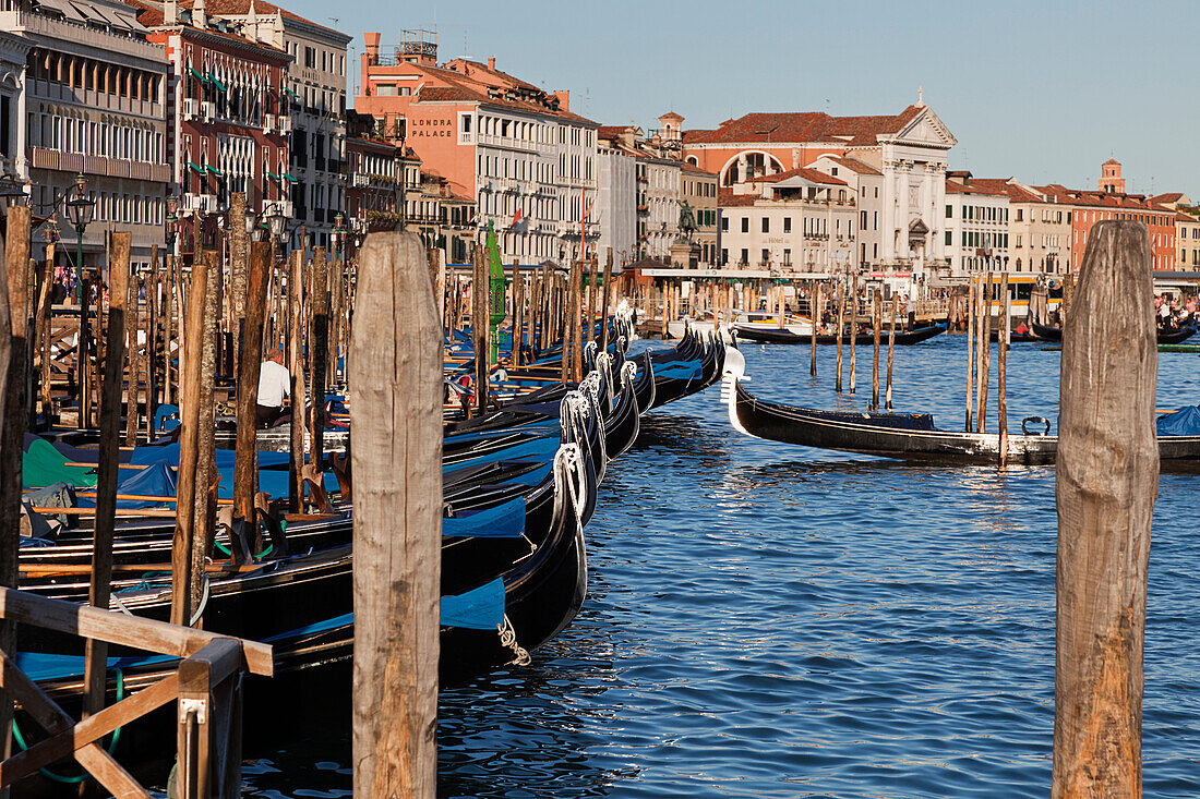 'Gondolas Along The Harbor; Venice Italy'