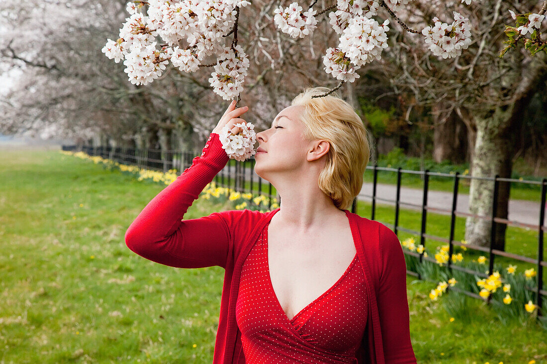 'A Woman Smells The Cherry Blossoms; Killarney, County Kerry, Ireland'