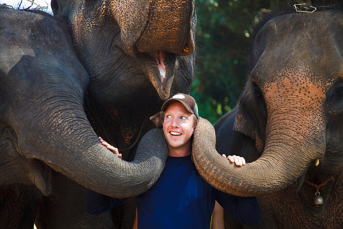 'A Man Poses With Three Elephants; Chiang Mai, Thailand'