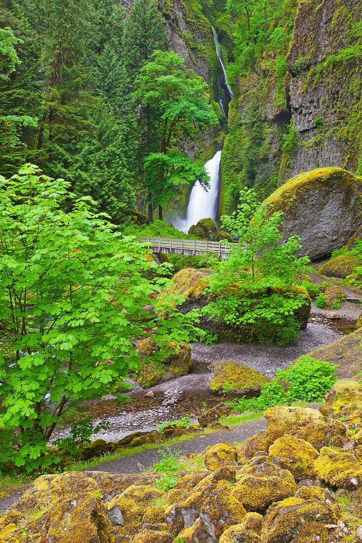 'Tanner Creek Falls In Columbia River Gorge National Scenic Area In The Pacific Northwest; Oregon, United States of America'