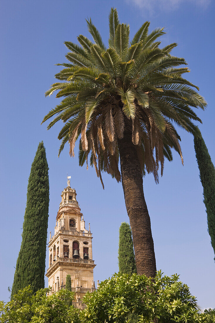 'Cordoba, Cordoba Province, Spain; Torre Del Alminar Of The Great Mosque'