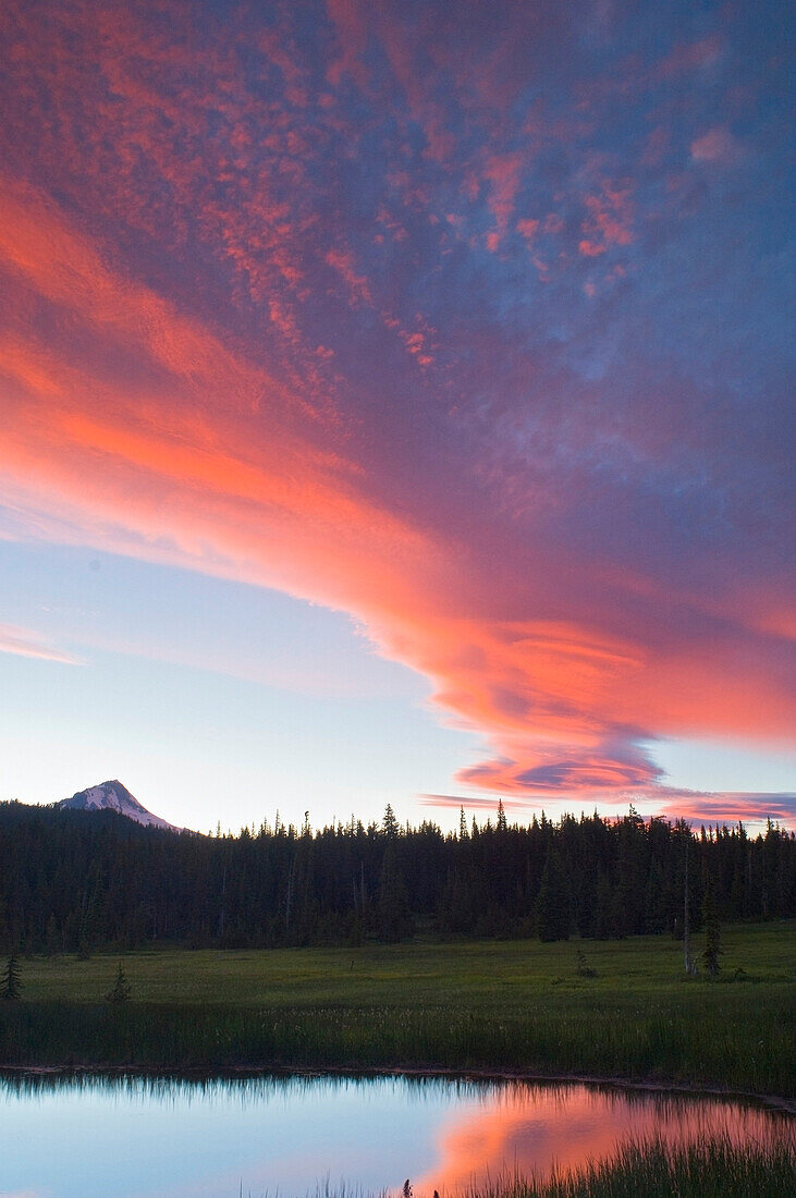 Mount Hood National Forest, Oregon, Usa