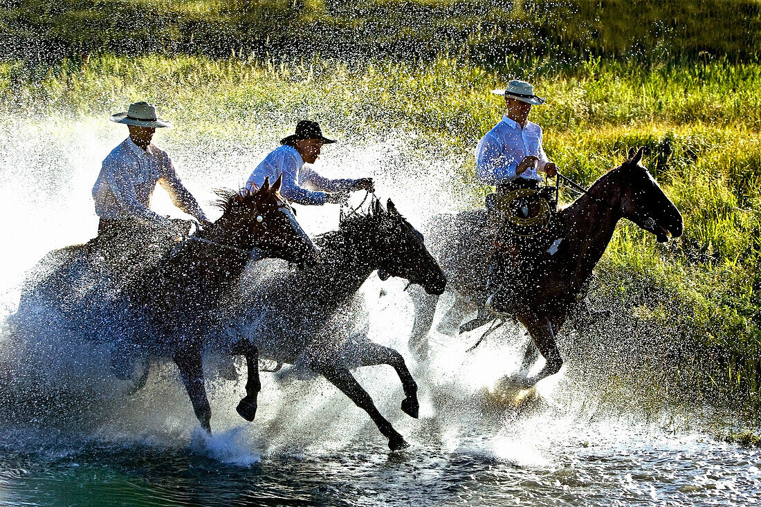 Cowboys Riding Horses Through Water