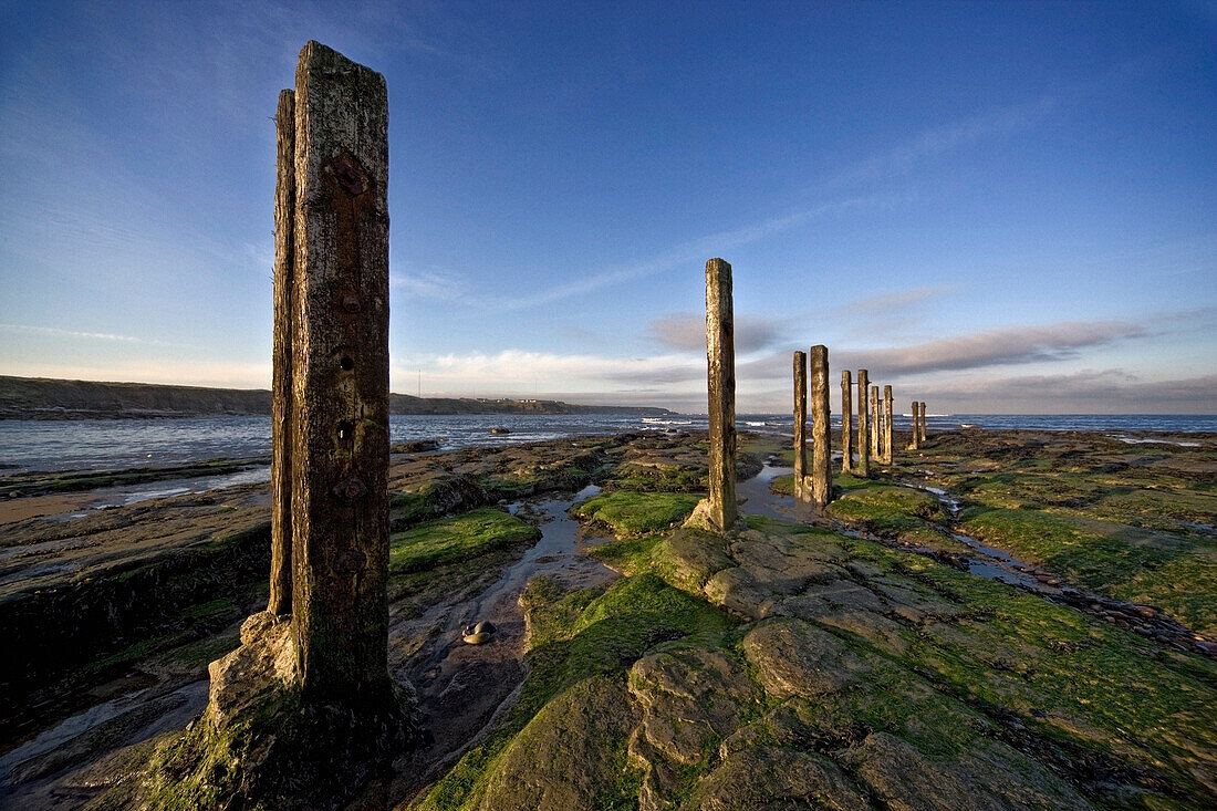 Stone Pillars In Shallow Water, Whitley Bay, North Tyneside, Tyne And Wear, England