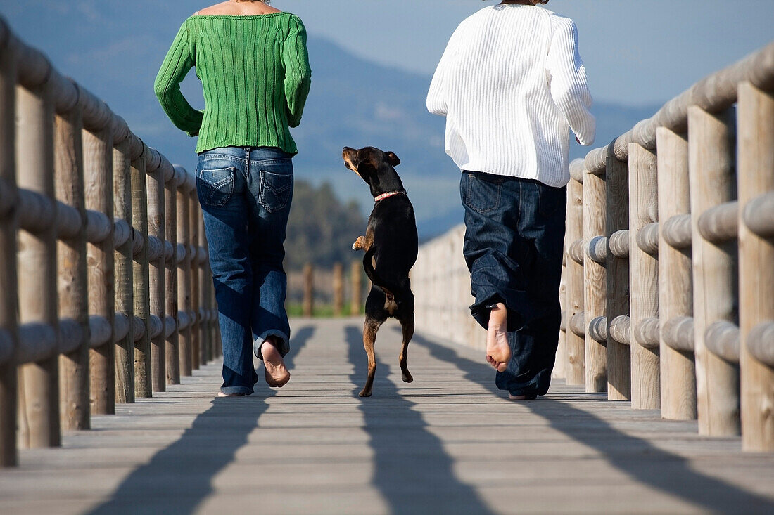 Two People Running With Dog