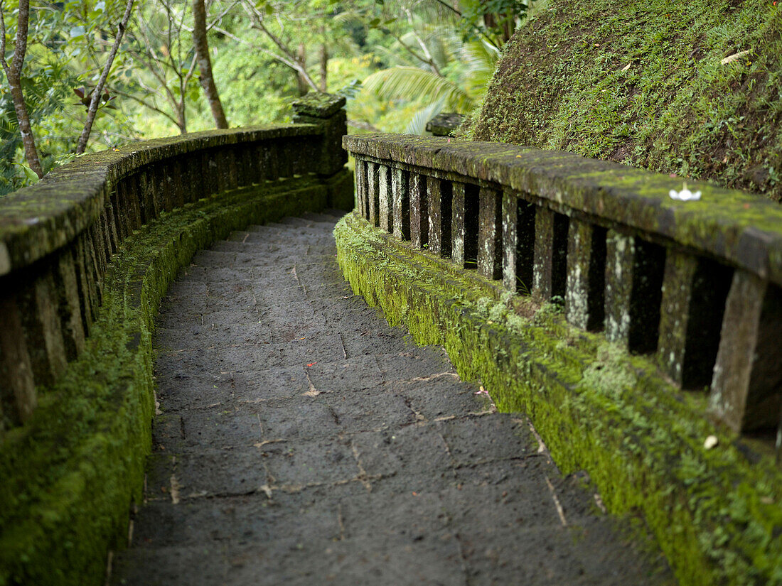 'Stone Path; Bali Indonesia'