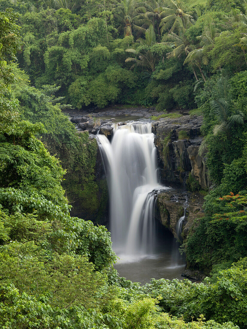 Waterfall Flowing Into A River, Bali, Indonesia