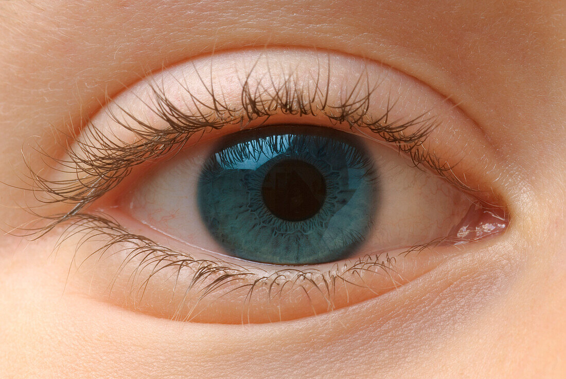 Closeup Of An Eye