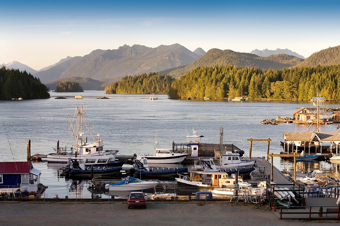 View Of A Marina And Mountains, Tofino, Vancouver Island, British Columbia, Canada