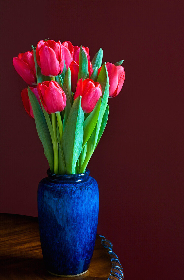 Tulips In Blue Vase