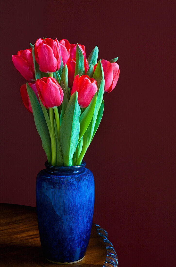 Tulpen in blauer Vase