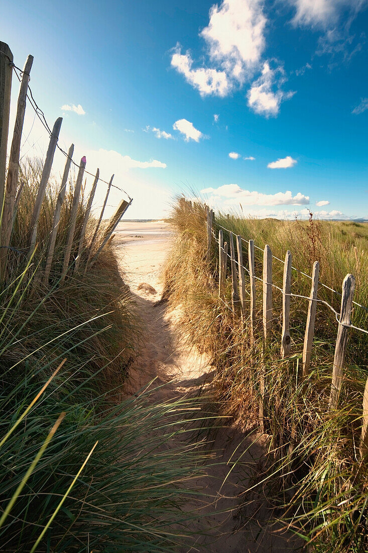 Pathway To The Beach, Beadnell, Northumberland, England