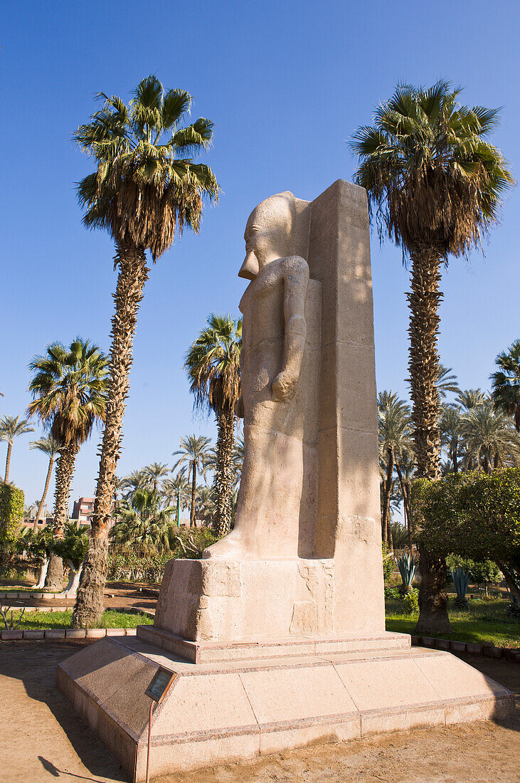 'Statue And Palm Trees; Memphis, Egypt'