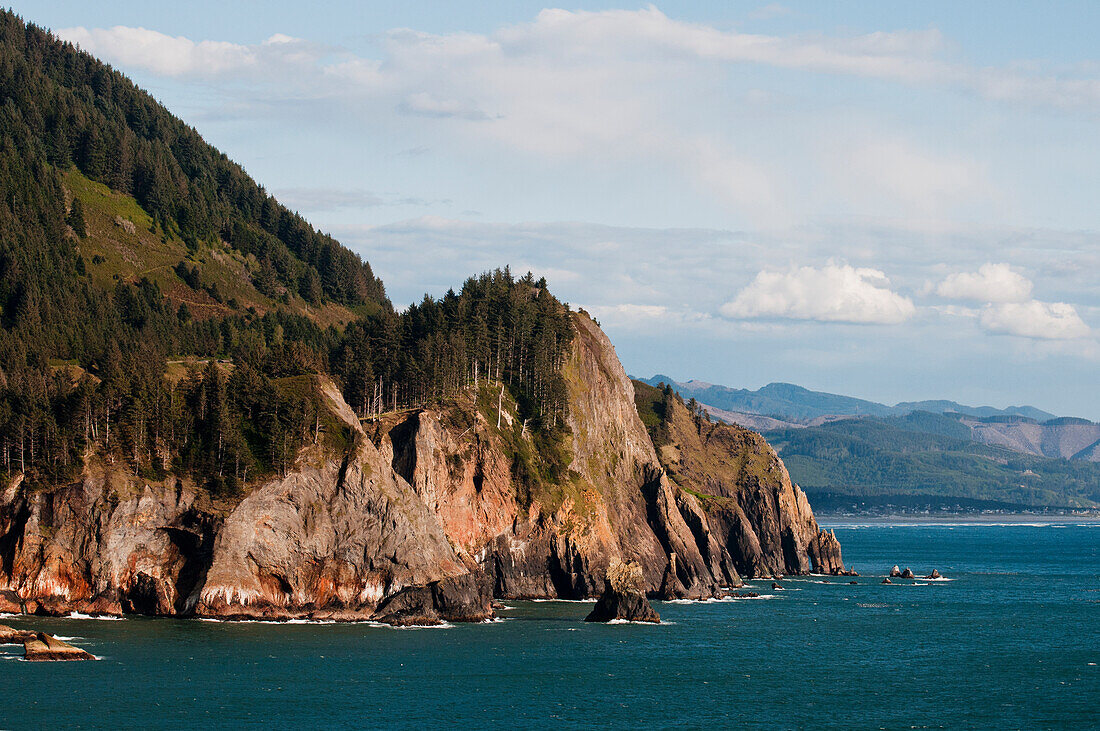 'Spectacular cliffs are found at Oswald West State Park on the Oregon coast; Manzanita, Oregon, United States of America'