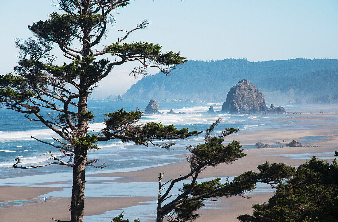 'Haystack Rock and Tillamook Head are well-known landmarks on the Oregon Coast; Oregon, United States of America'