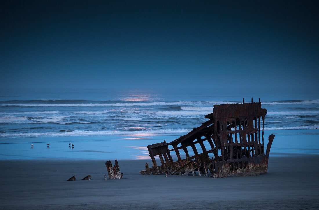 'Moonlight shines over the wreck of the Peter Iredale; Oregon, United States of America'