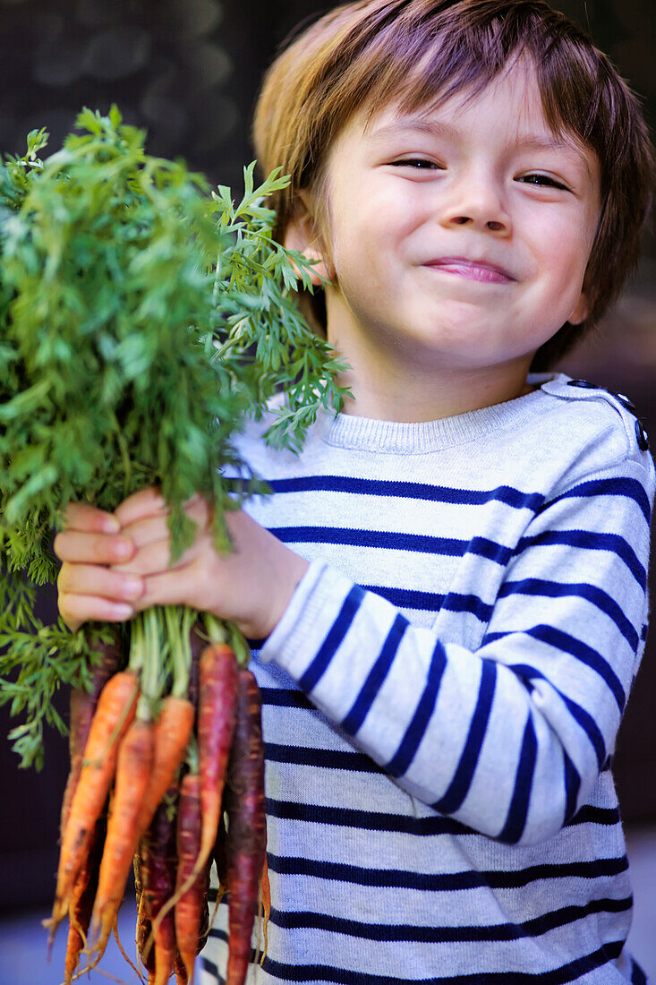 'Young boy holding a bunch of organic carrots; Montreal, Quebec, Canada'