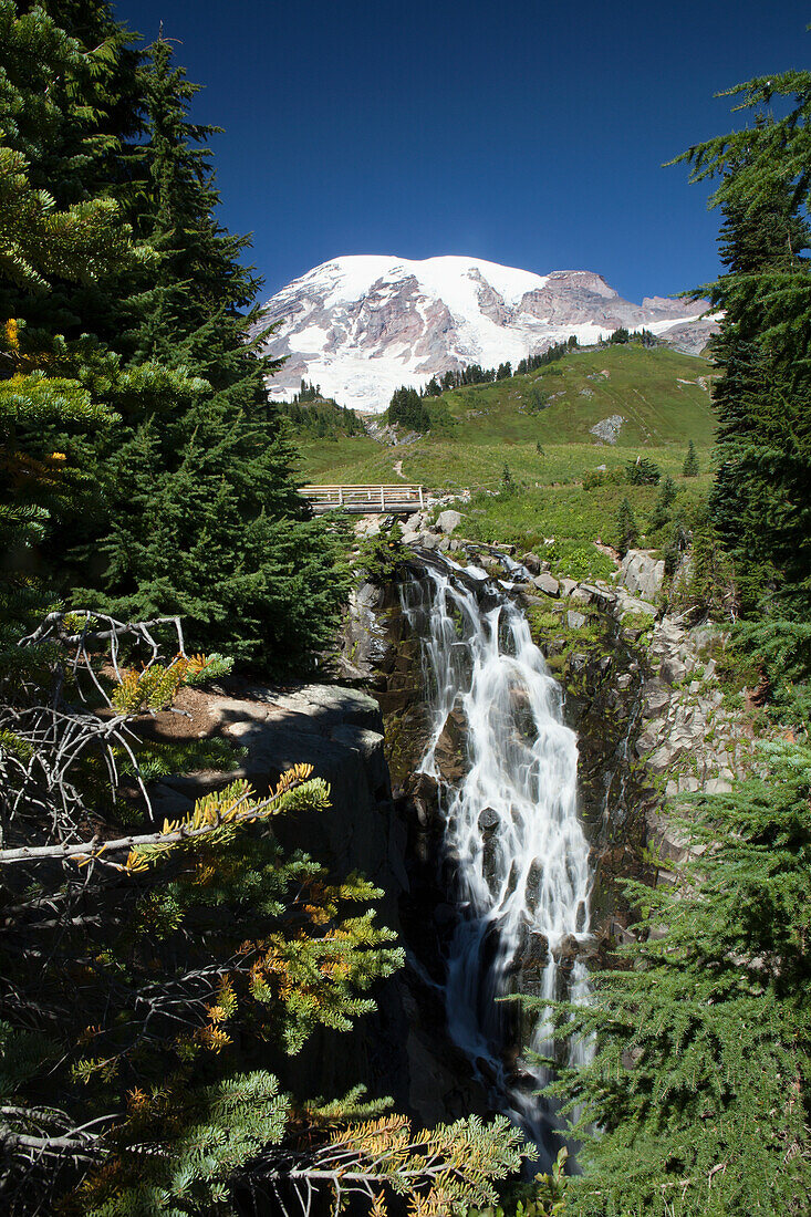 'Paradise Valley, waterfall & Mount Rainier, Mt. Rainier National Park; Washington, United States of America'