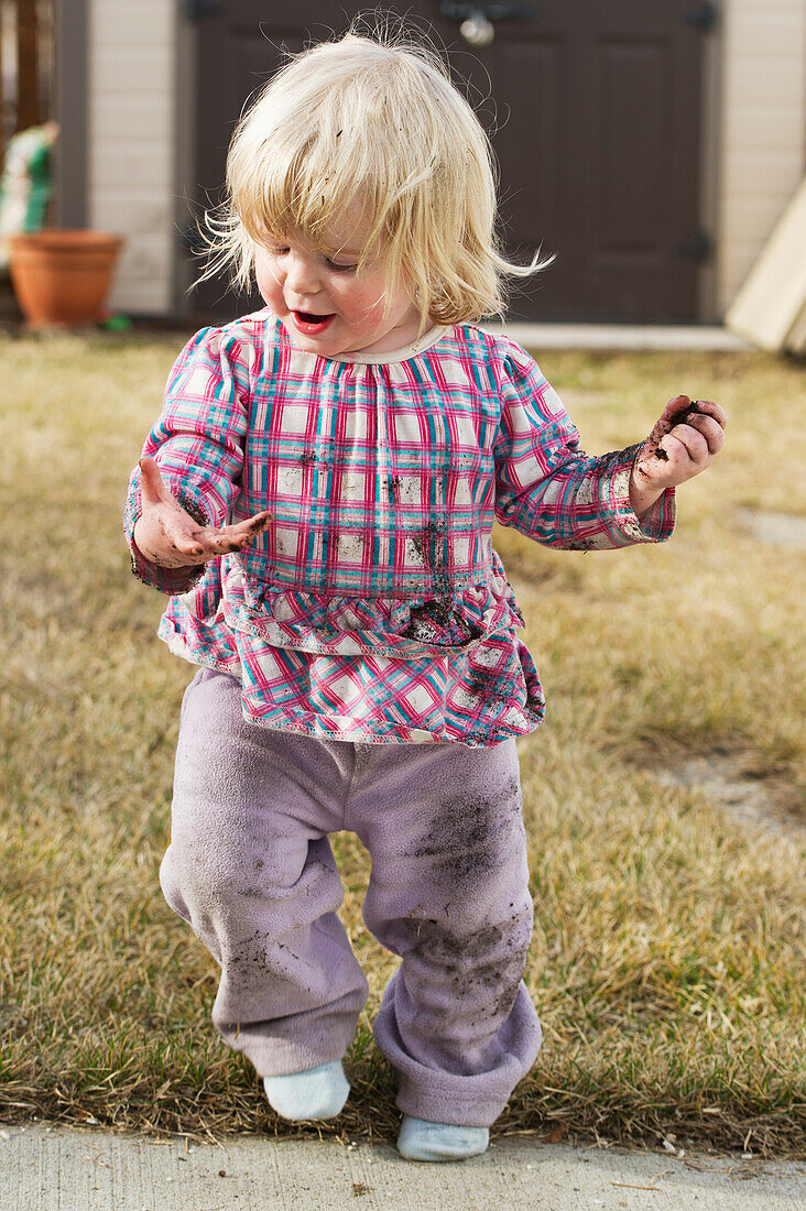 'A toddler walks through her yard holding rocks; Alberta, Canada'
