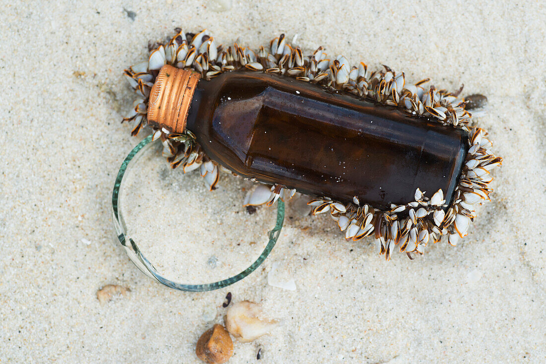 'A bottle in the sand covered with small seashells; Koh Samet Island, Thailand'