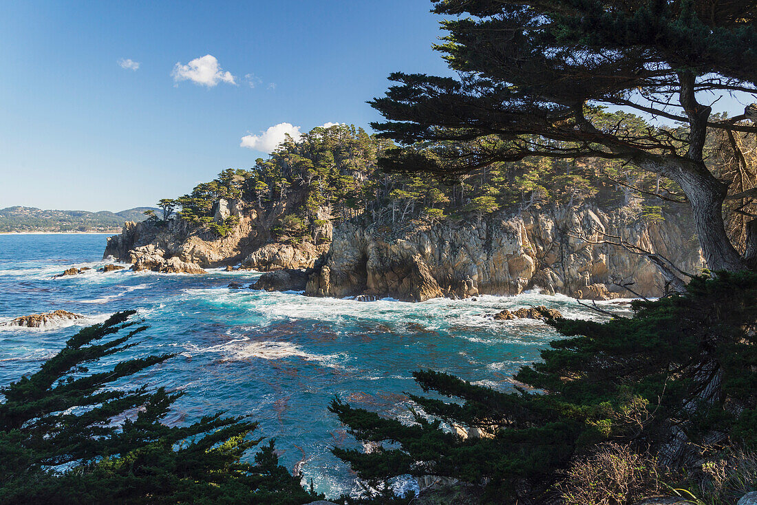 'Waves breaking against cliffs bordering Cypress Cove with Monterey Cypress trees in foreground, Point Lobos State Reserve; Carmel, California, United States of America'