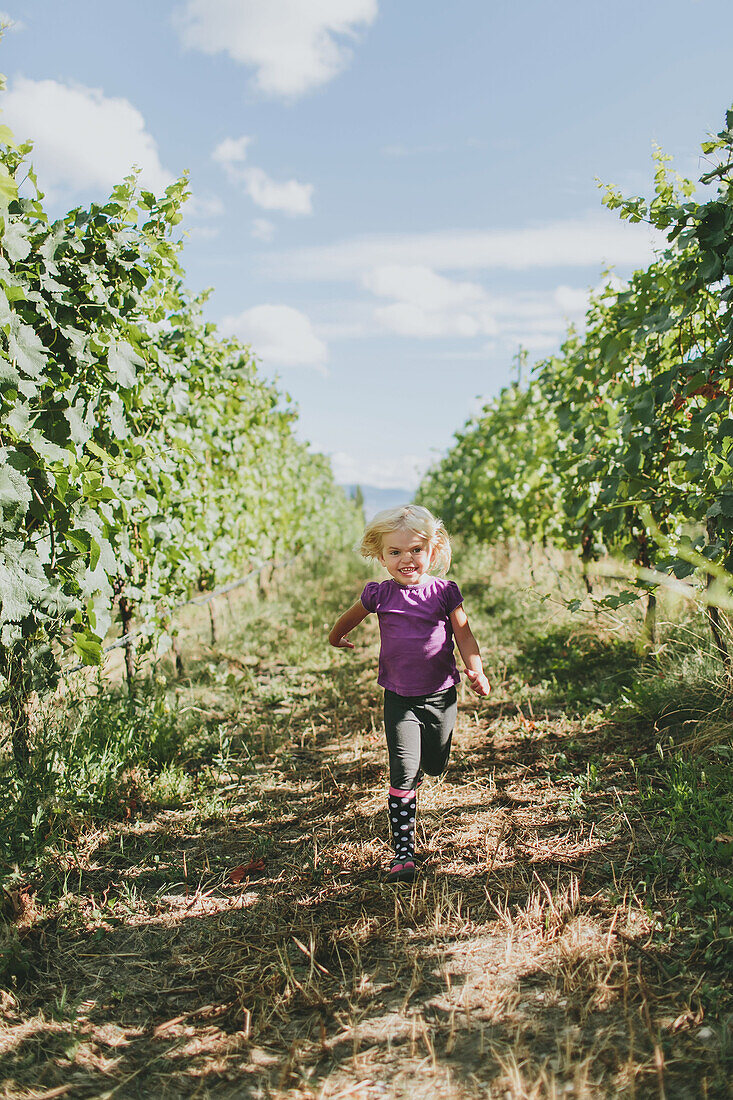 'A young girl walks down a path between the rows of trees in an orchard; Peachland, British Columbia, Canada'